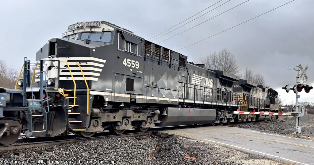 NS 4559